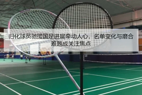归化球员驰援国足进展牵动人心，名单变化与磨合难题成关注焦点 - 8868tiyu